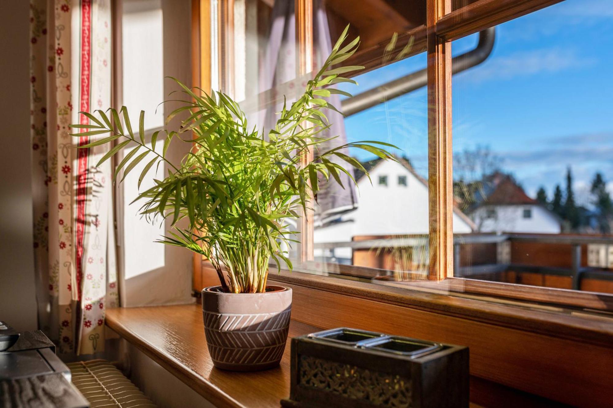 Apartament Haus Morgensonne Höchenschwand Zewnętrze zdjęcie